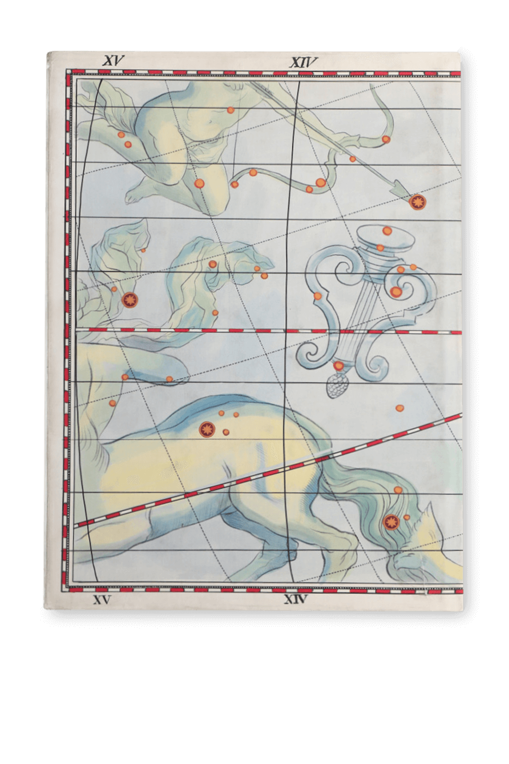 תמונה אחורית של Four Seasons