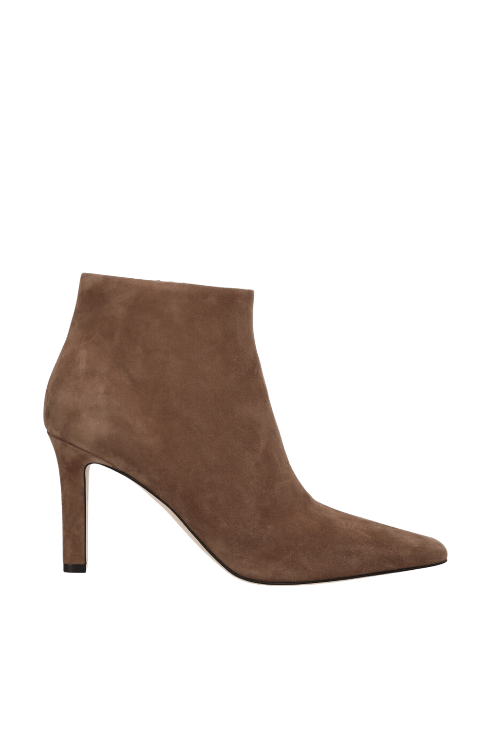 תמונה קידמית של מגפוני עקב קלרה