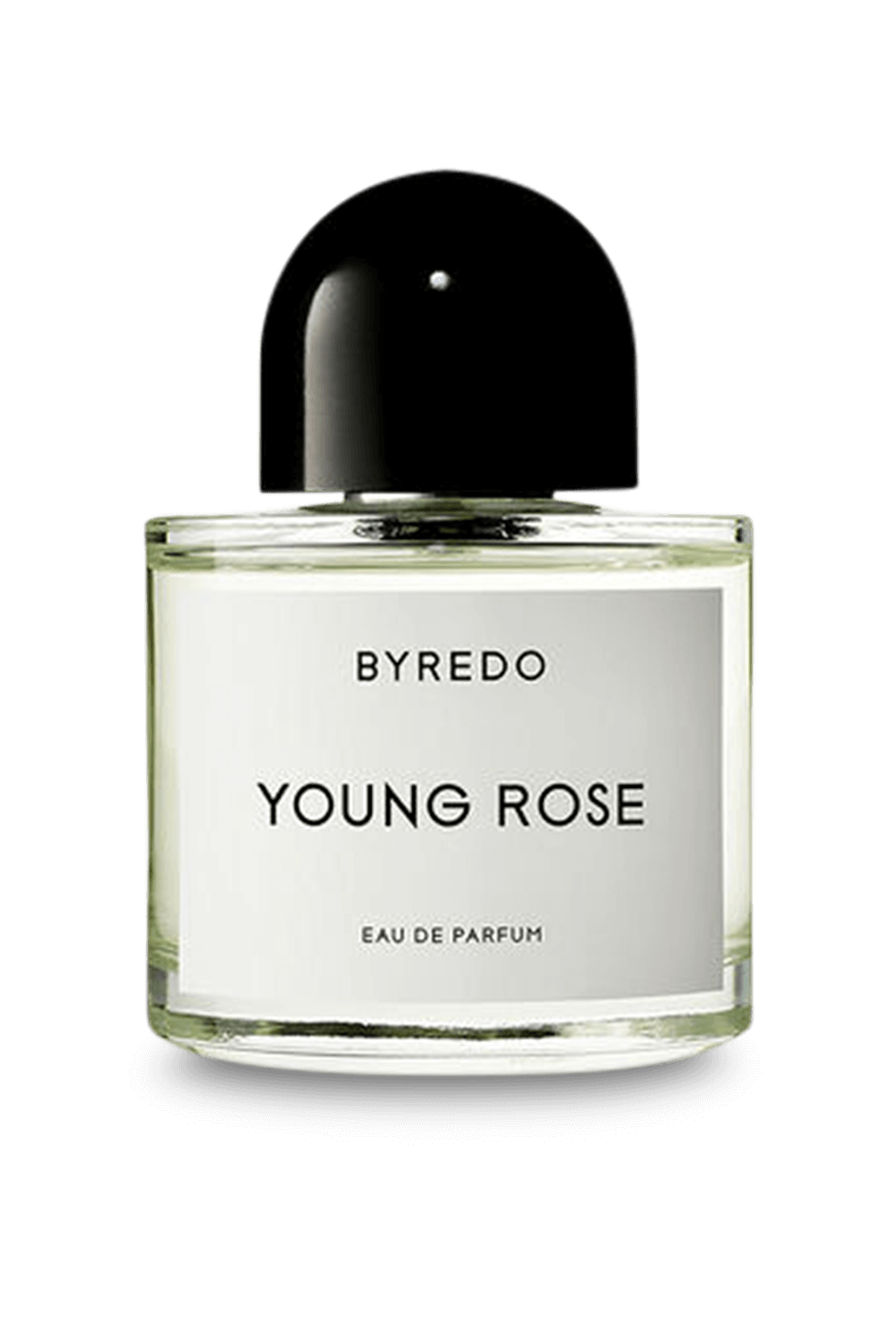 תמונה קידמית של Young Rose Eau de Parfum 100 ml