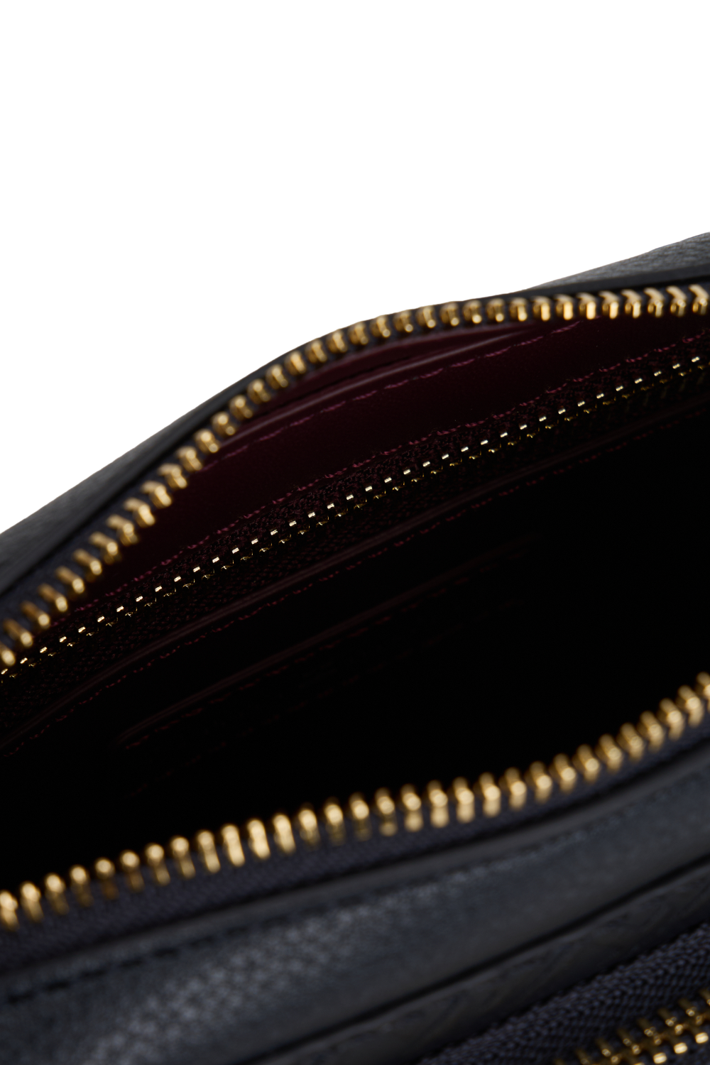 תמונת פנים של תיק קאמרה