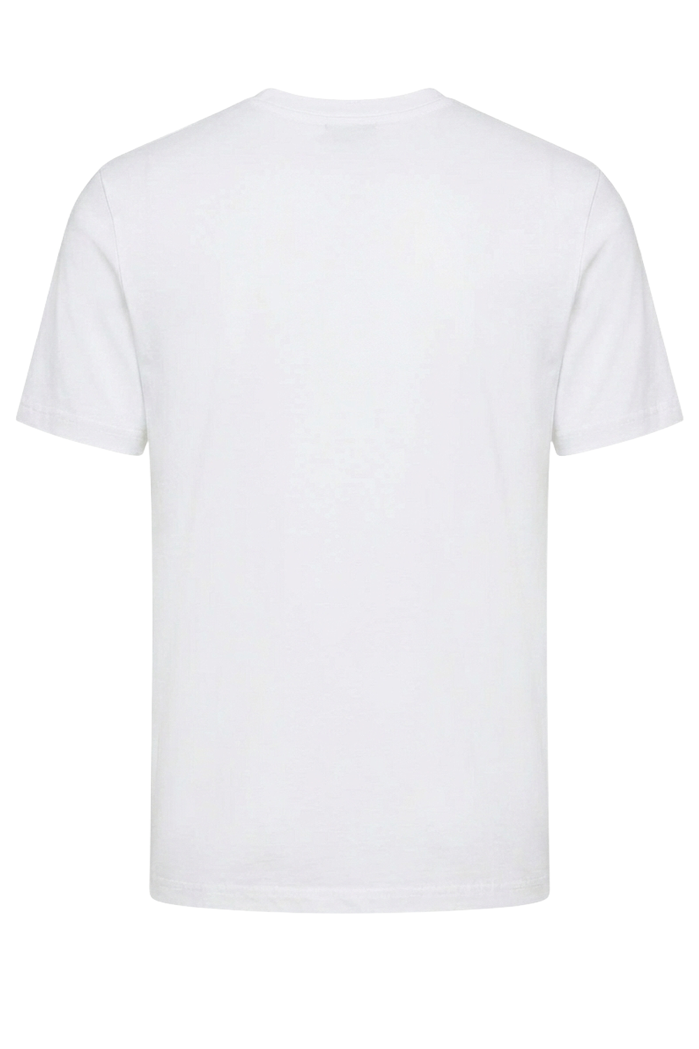 תמונה אחורית של חולצת טי