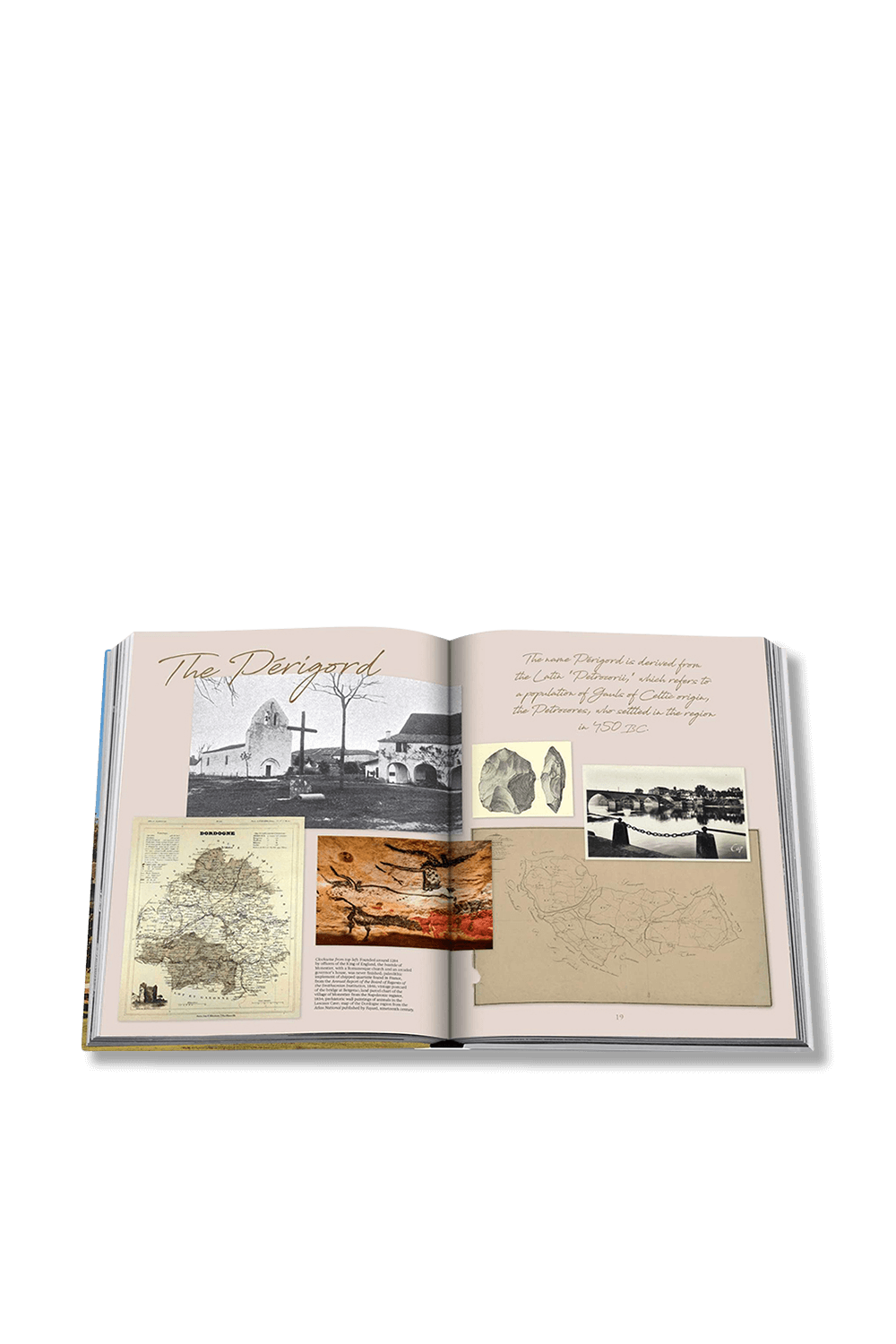 Chateau Monestier La Tour - Chandra Kurt image number null ASSOULINE