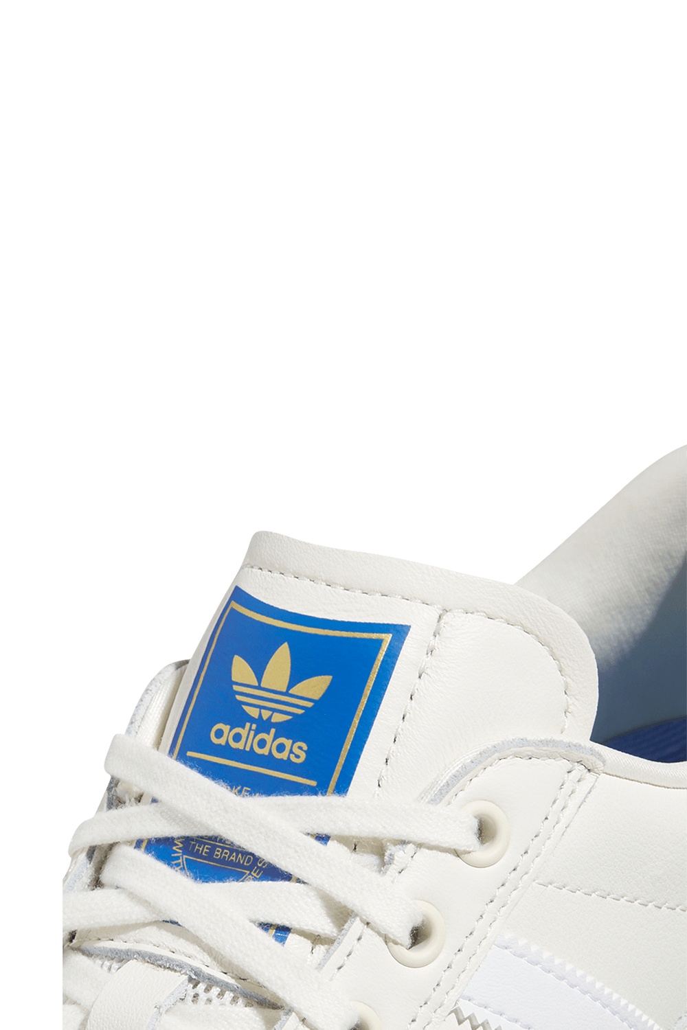 תמונת פנים של נעלי סקייטרים פיוג