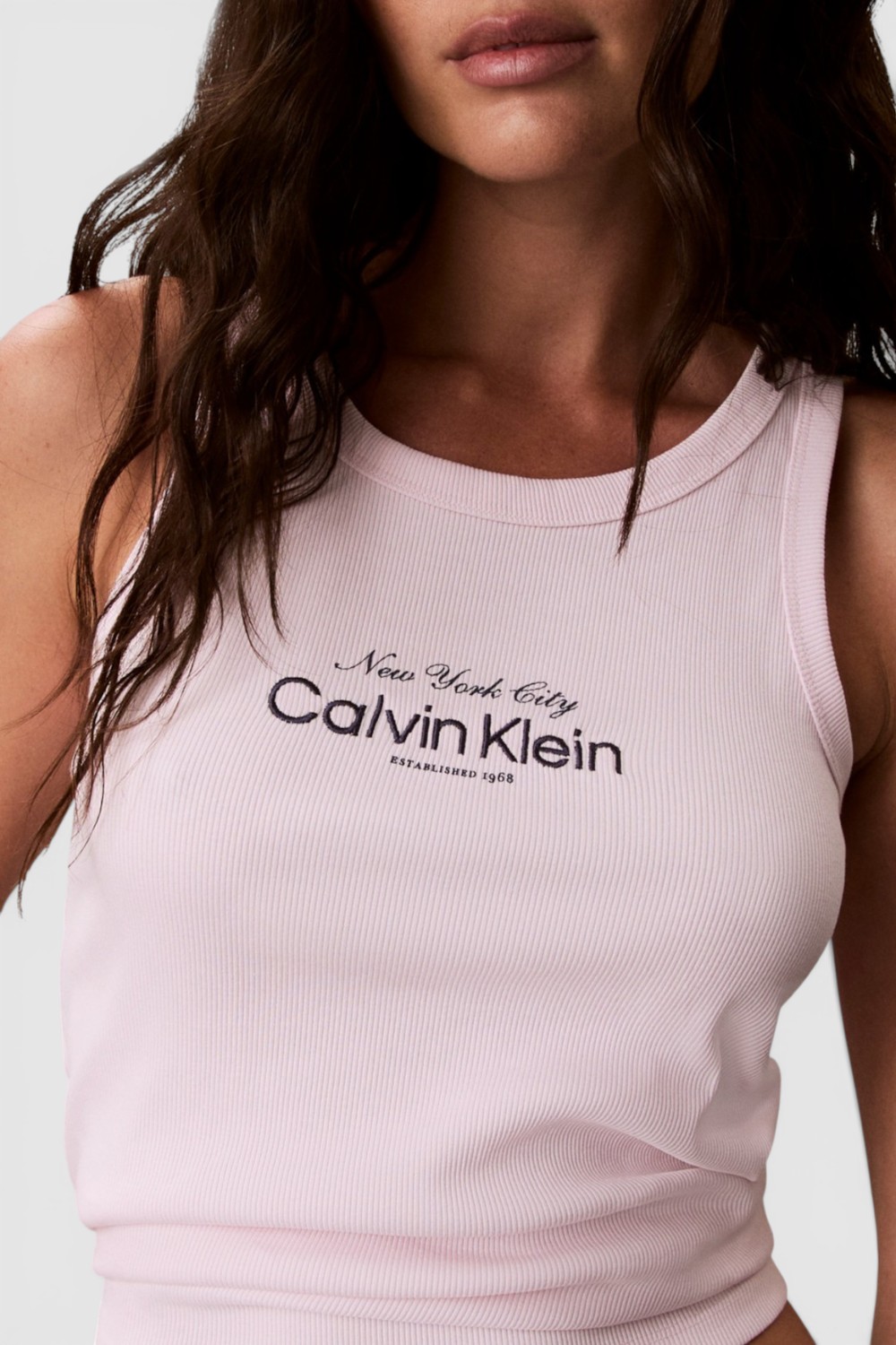 תמונת תקריב דוגמן של גופית ריב