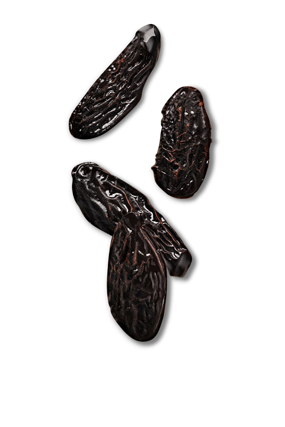 תמונה אחורית של Angels&rsquo; Share Body Lotion