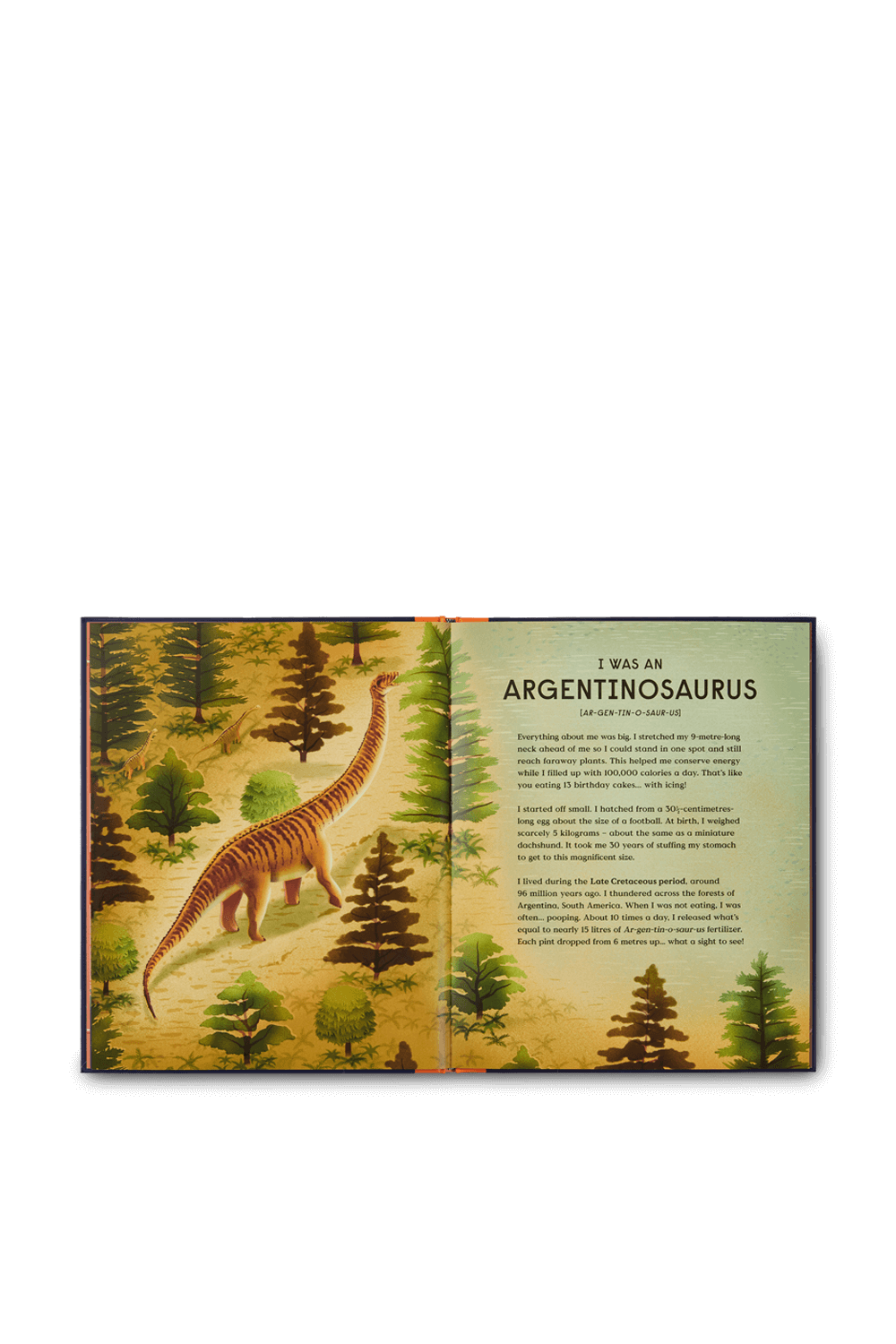 Book of Dinosaurs PHAIDON