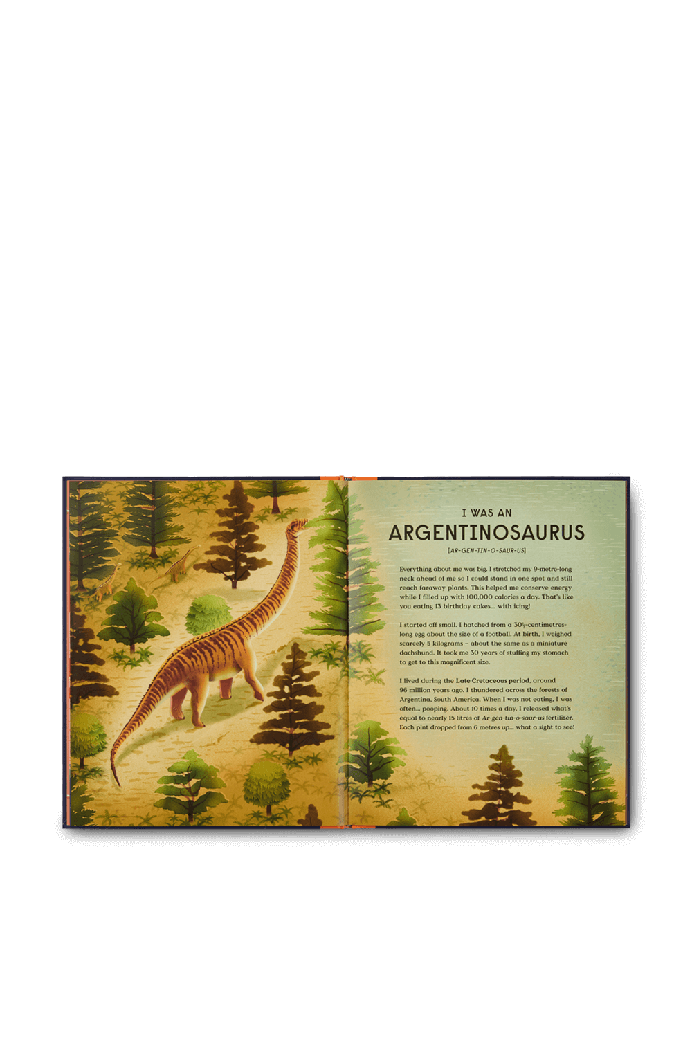 Book of Dinosaurs