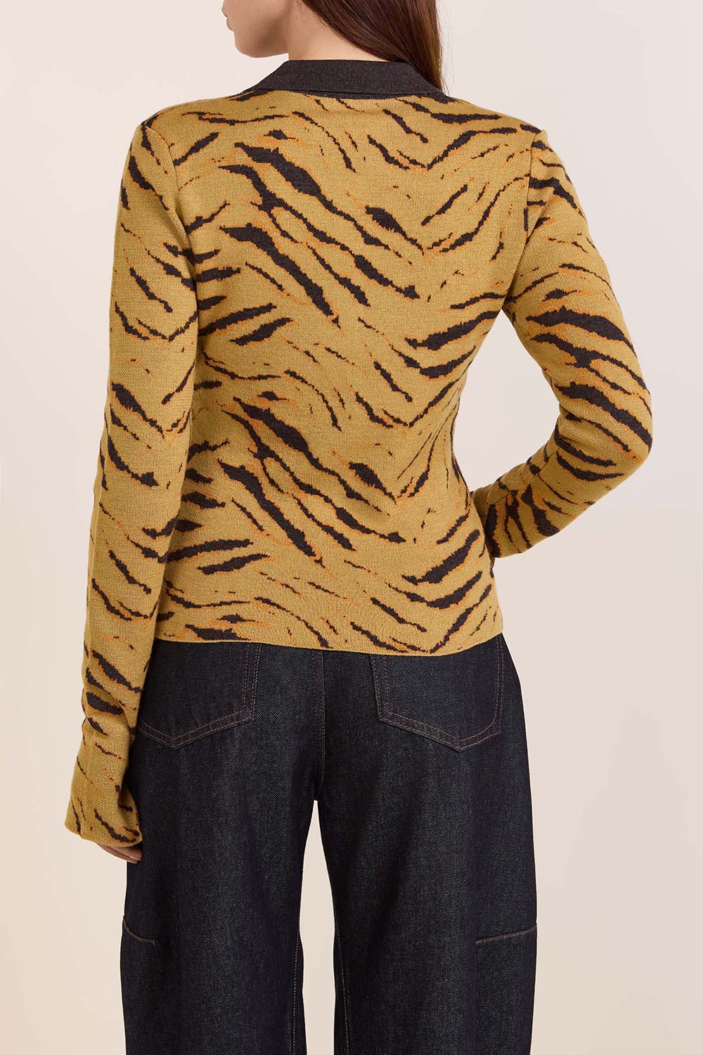 תמונת דוגמן אחורית של סריג מרינו