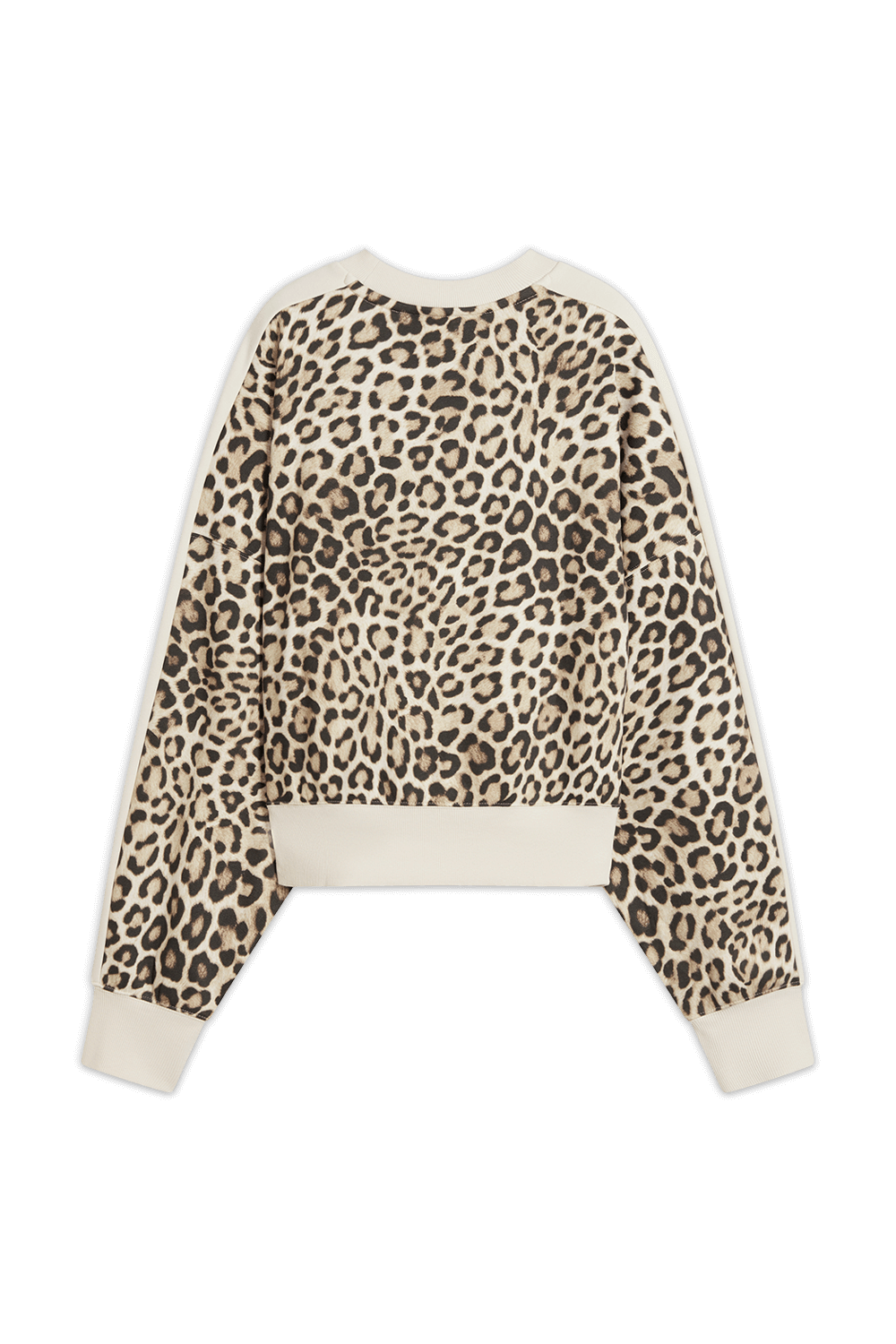 תמונה אחורית של סווטשירט מנומר