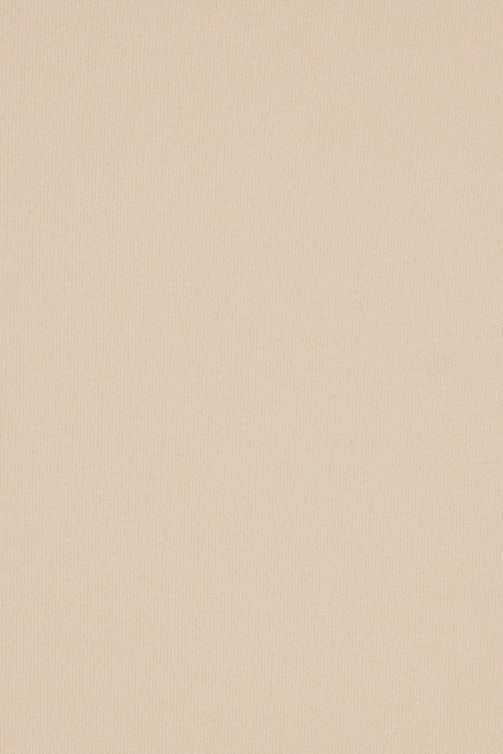 תמונת תקריב דוגמן של HIGH-WAISTED THONG