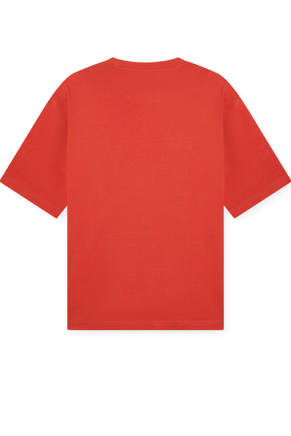 תמונה אחורית של חולצת טי