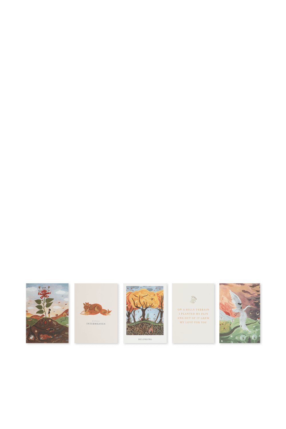 תמונה אחורית של ספר עם פוסטר וחמש גלויות שמי לילה