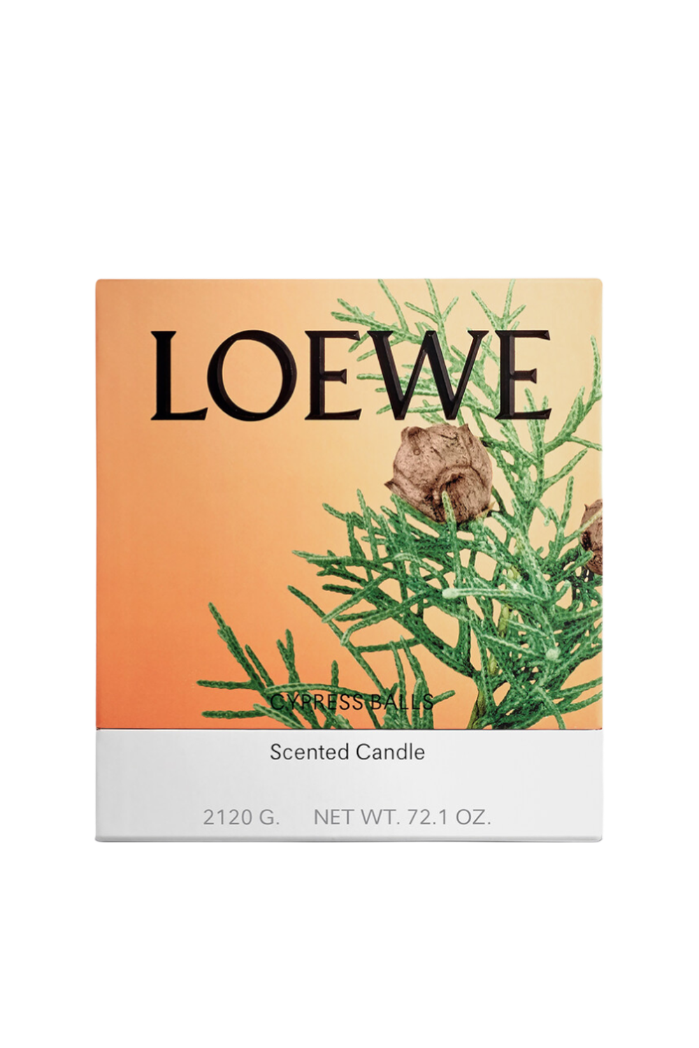 תמונה אחורית של LOEWE Cypress Large Scented Candle