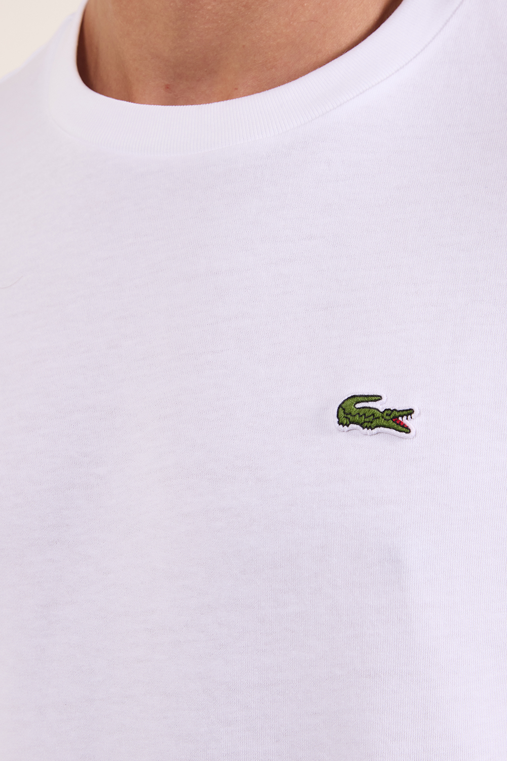 תמונת תקריב דוגמן של חולצת טי עם הדפס בגב