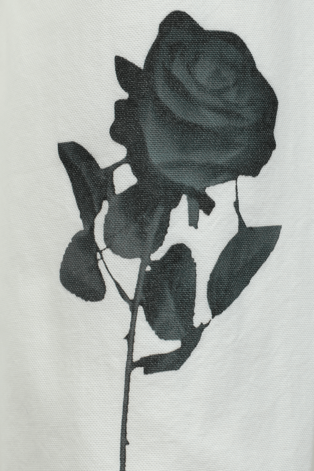 תמונה אחורית של Rose Button Shirt in White