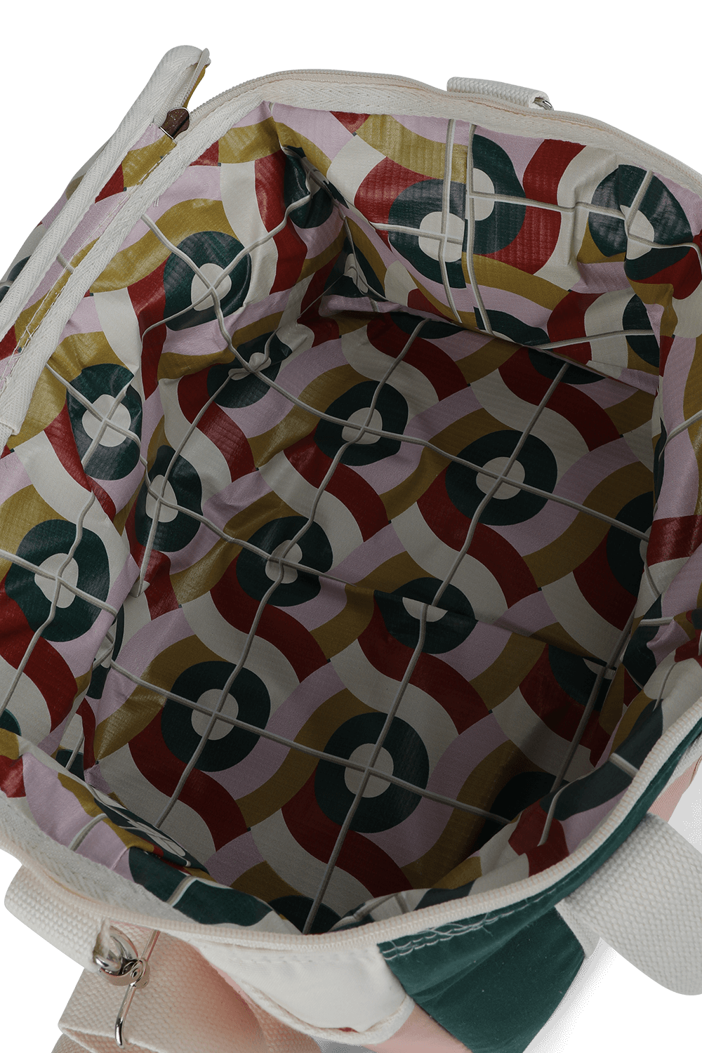 תמונת פנים של צידנית