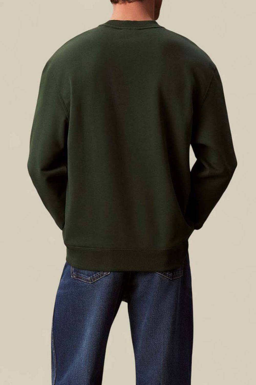 תמונת דוגמן אחורית של סווטשירט