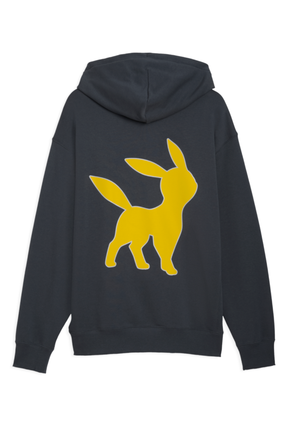 תמונה אחורית של קפוצ'ון פומה X פוקימון