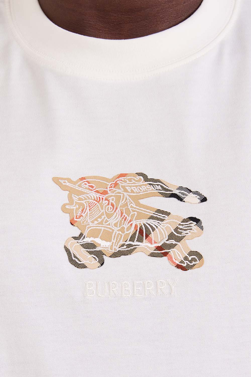 תמונת תקריב דוגמן של חולצת טי