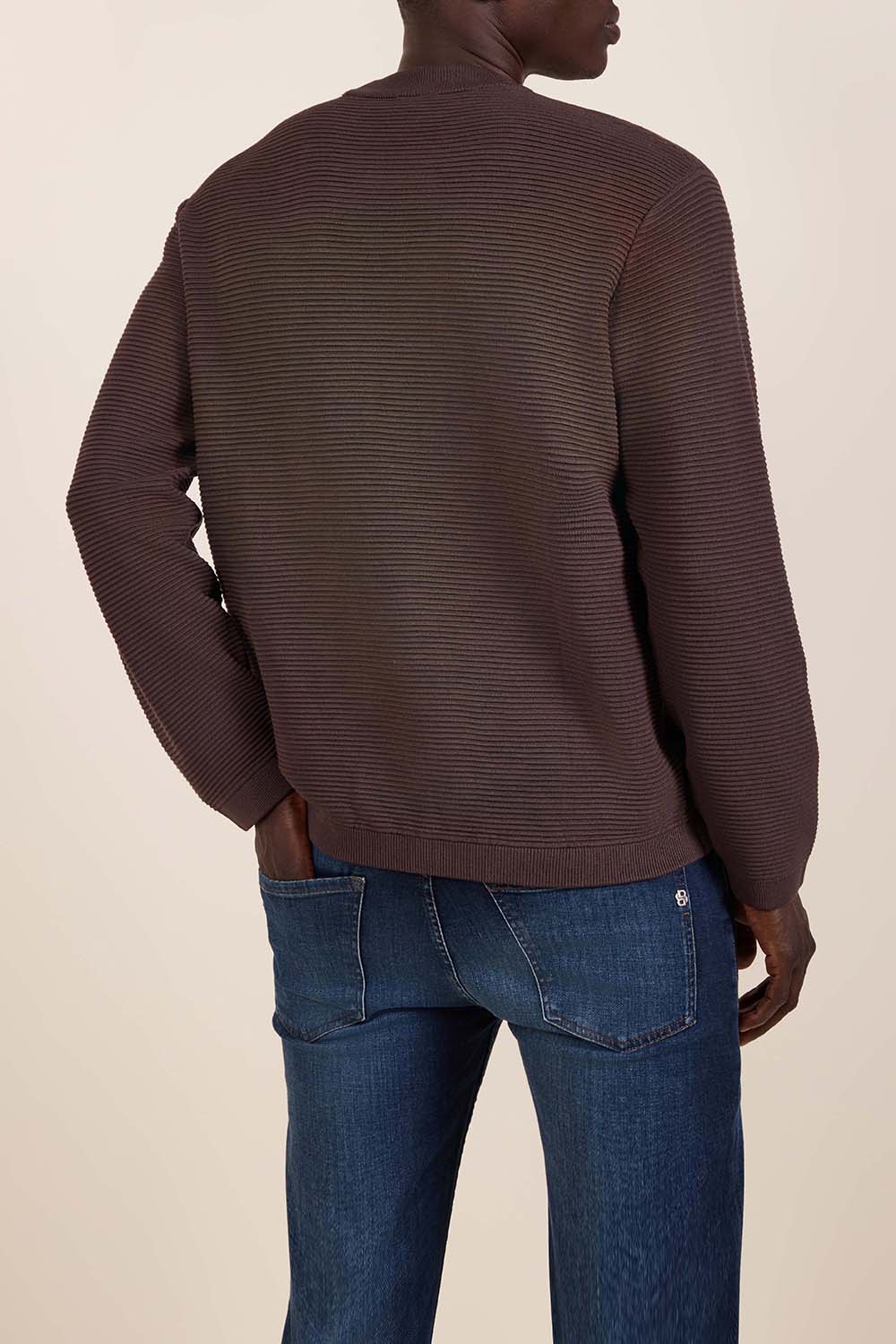 תמונת דוגמן אחורית של סריג ויסקוזה