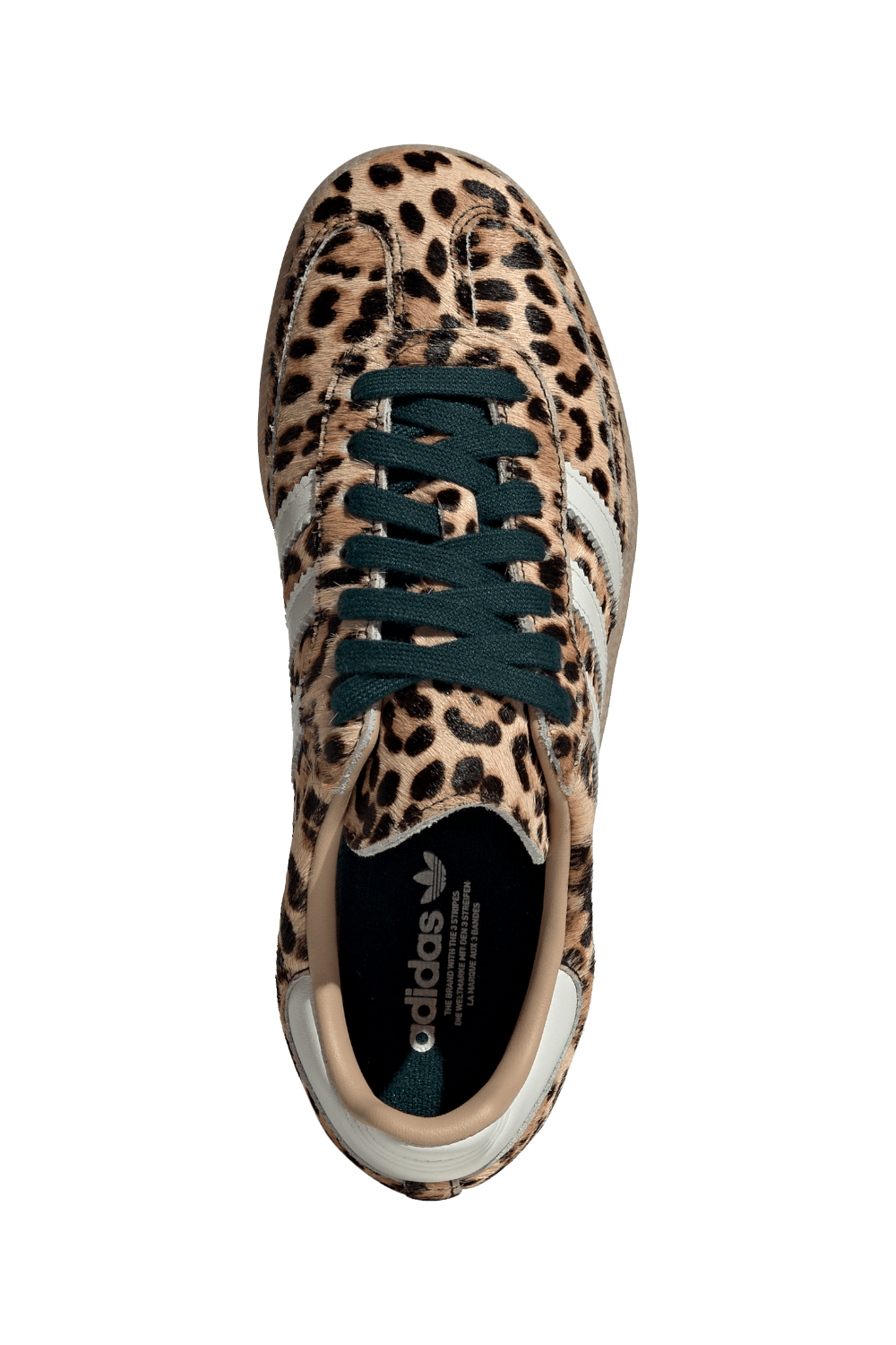 תמונת תקריב של נעלי סניקרס סמבה