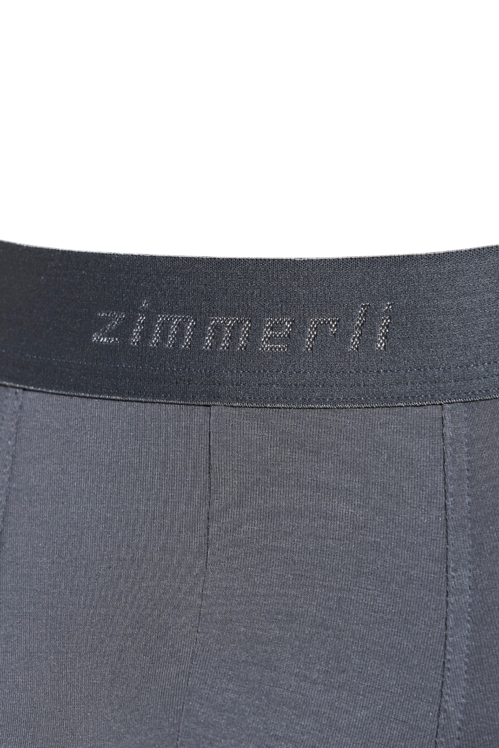 תמונה אחורית של בוקסר בגזרה ארוכה