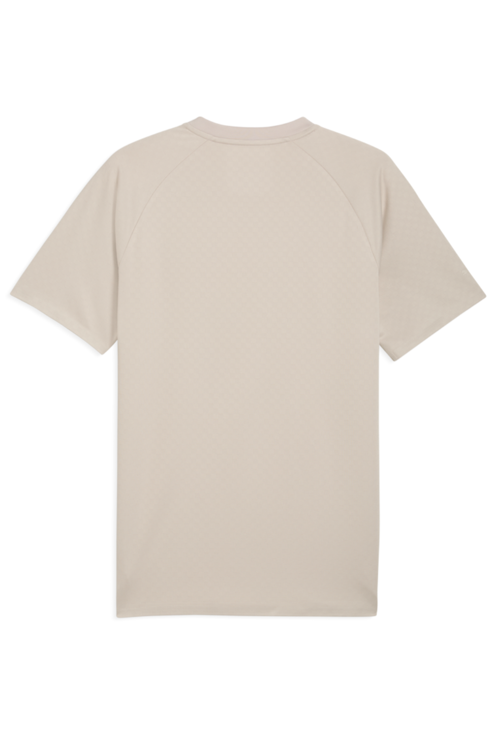 תמונה אחורית של טישירט שרוול קצר