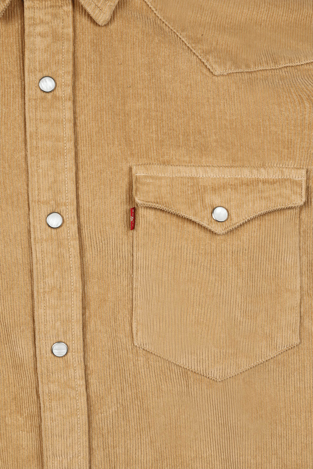 תמונה אחורית של חולצת קורדרוי מכופתרת ארוכה