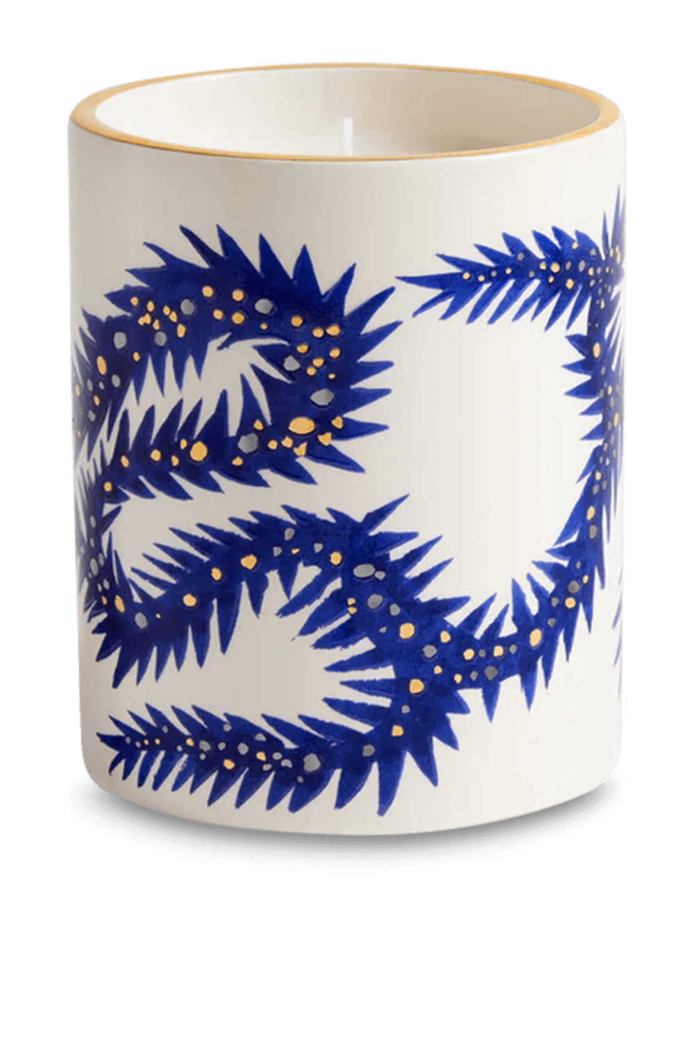 תמונת תקריב של Ruan Hoffmann Candle Burning Desire