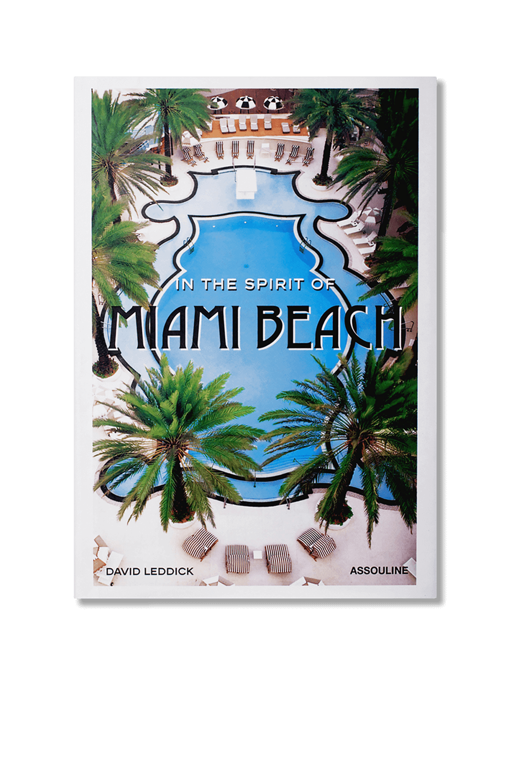 תמונה קידמית של ברוח של מיאמי ביצ'