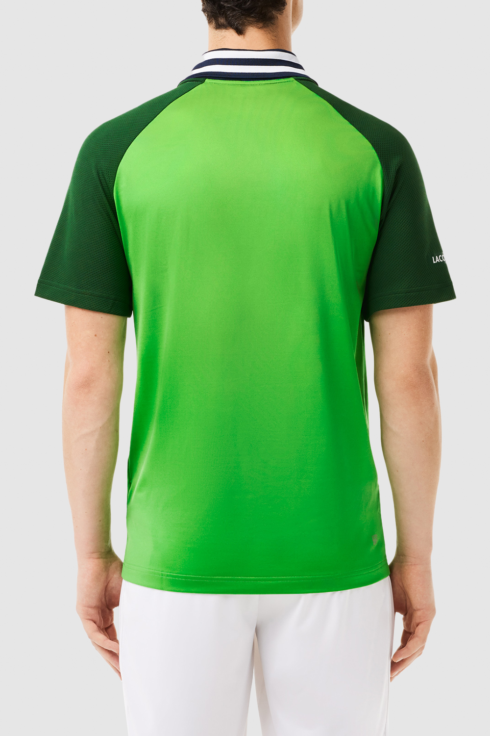 תמונת דוגמן אחורית של חולצת פולו קצרה