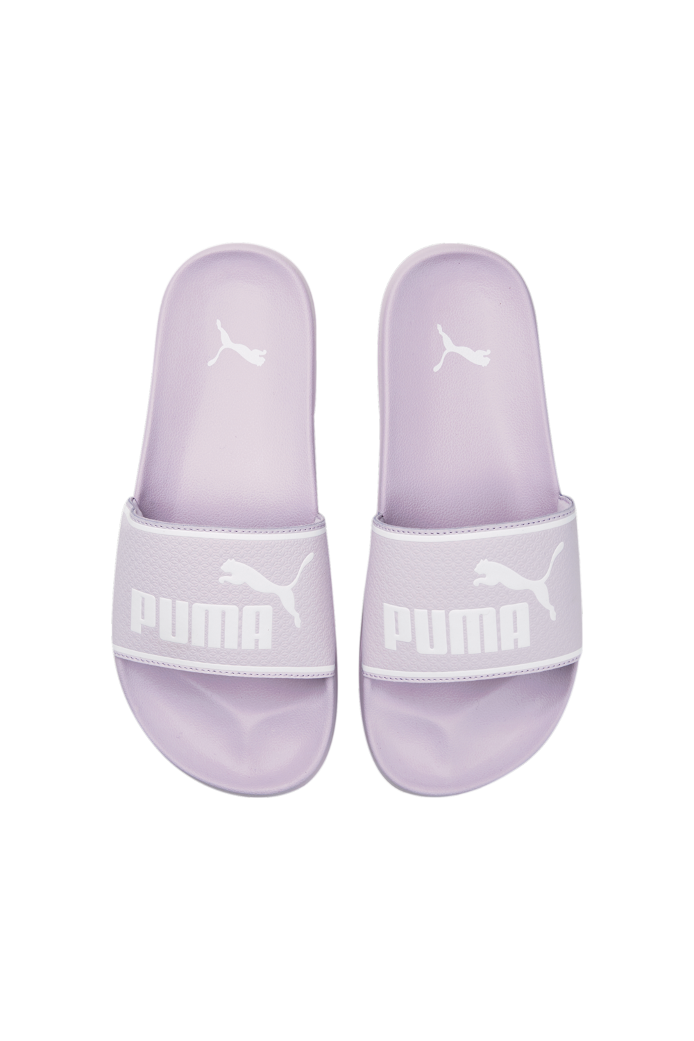 כפכפי סליידס