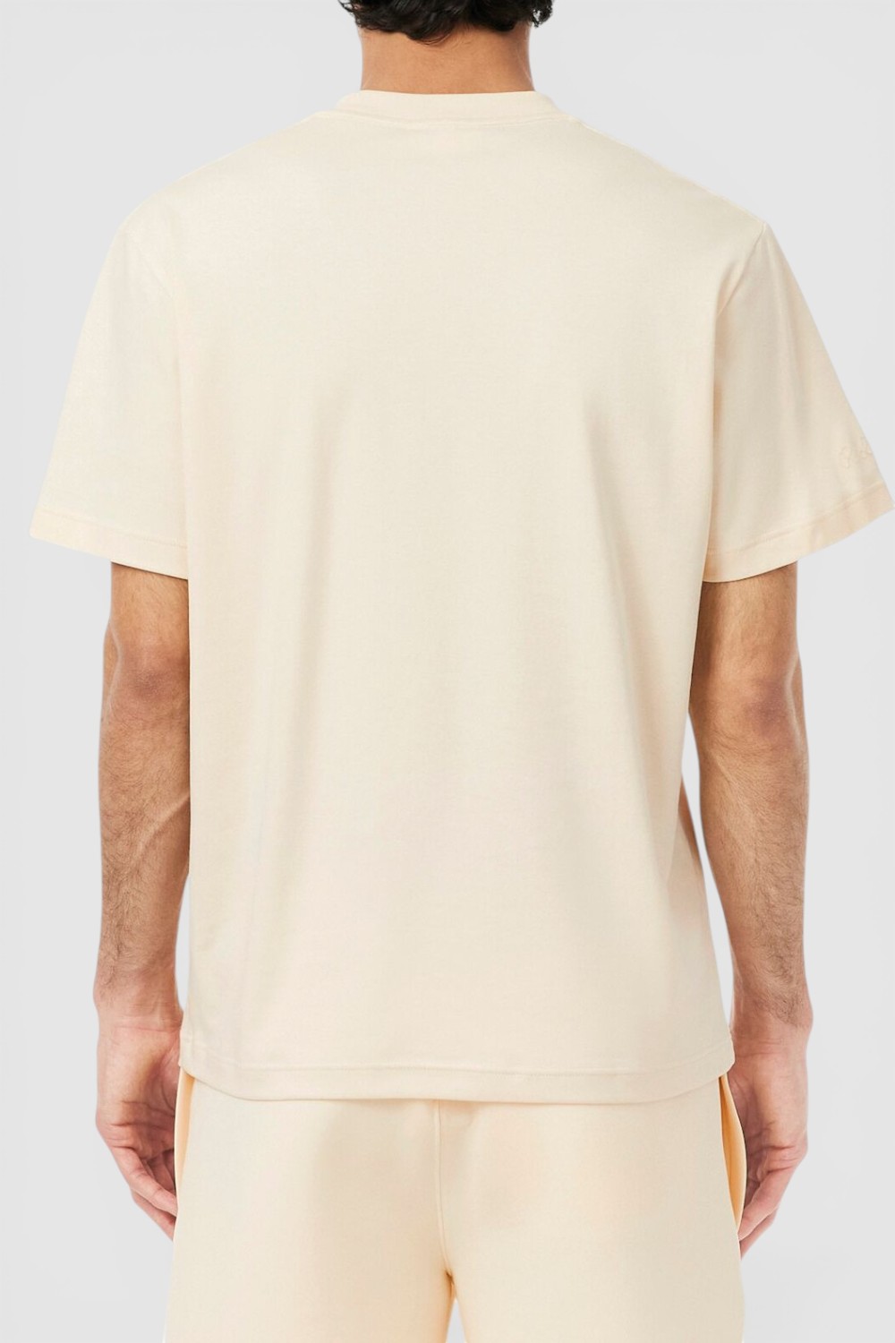 תמונת דוגמן אחורית של חולצת טי