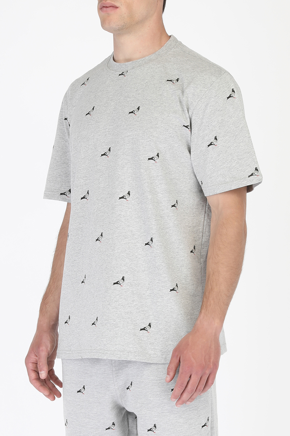 תמונת דוגמן קידמית של All Over Pigeon Tee in Grey