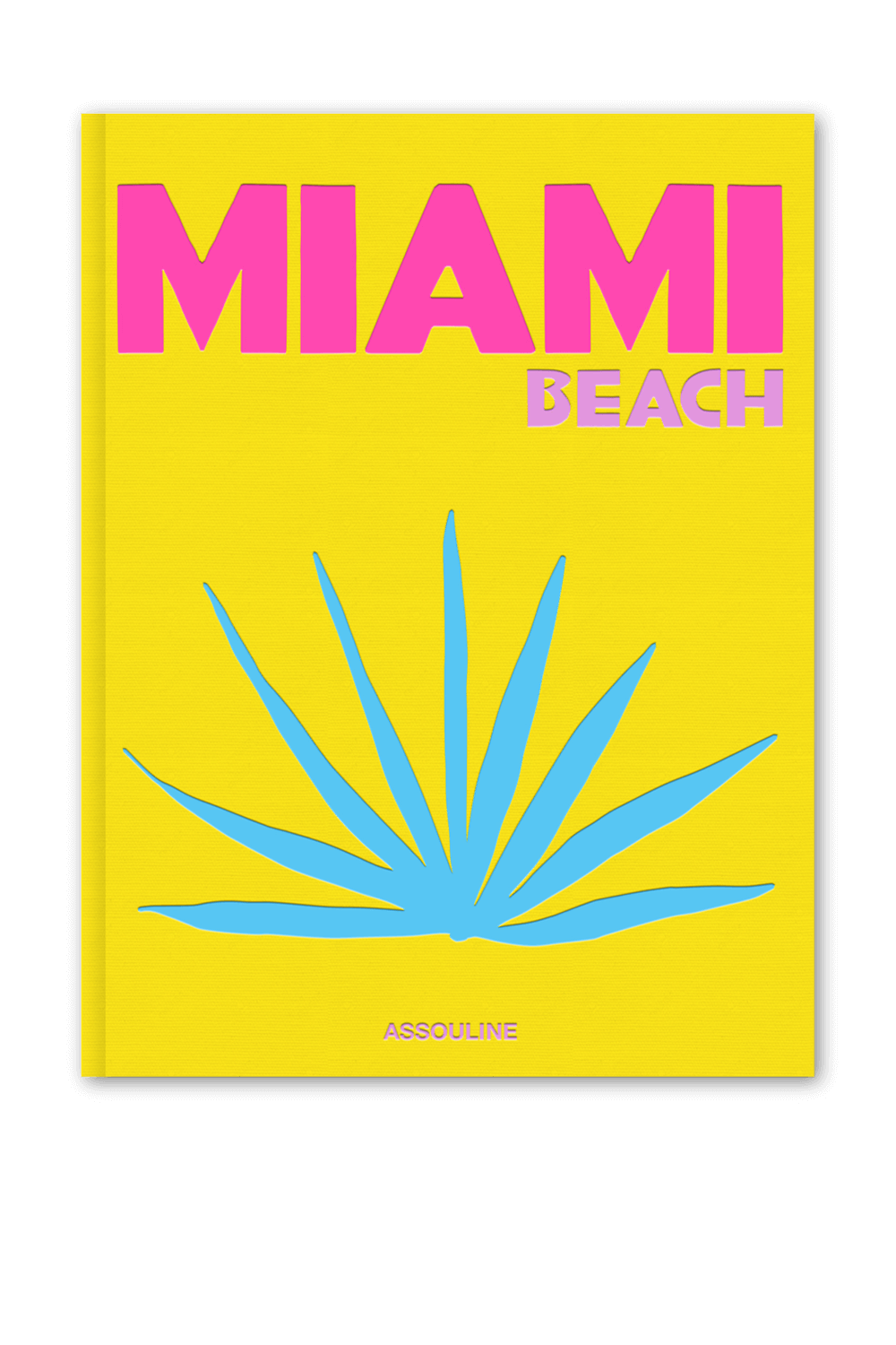 תמונה קידמית של Miami Beach