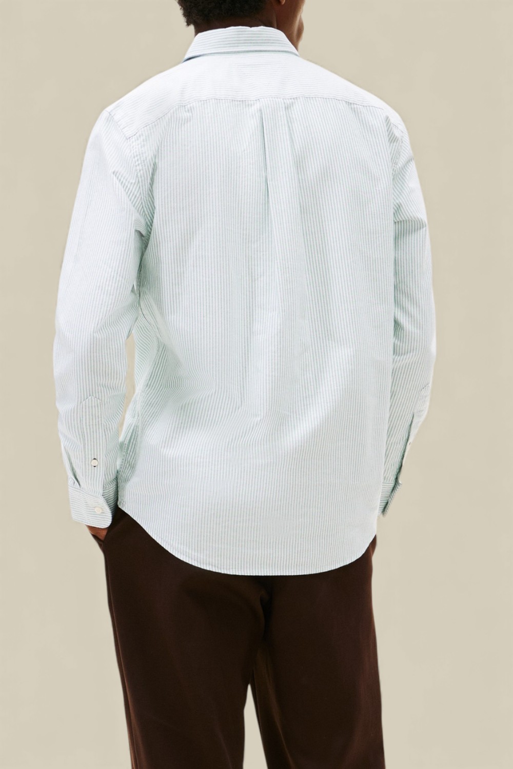 תמונת דוגמן אחורית של חולצת כפתורים אוקספורד