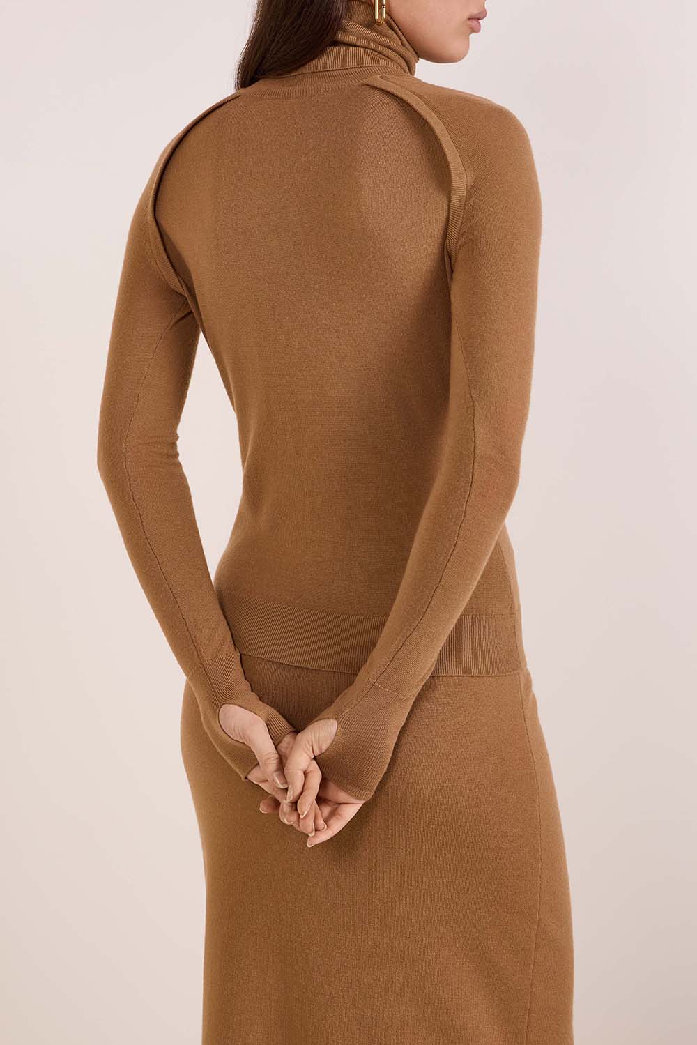 תמונת דוגמן אחורית של סריג צווארון גבוה