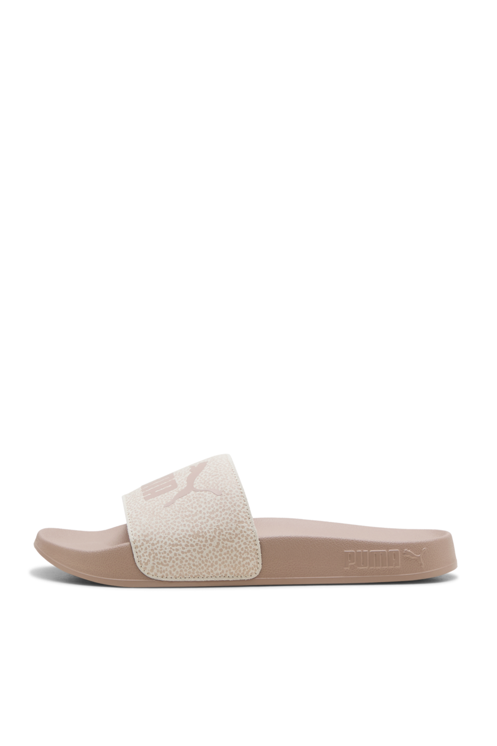 תמונה אחורית של כפכפים