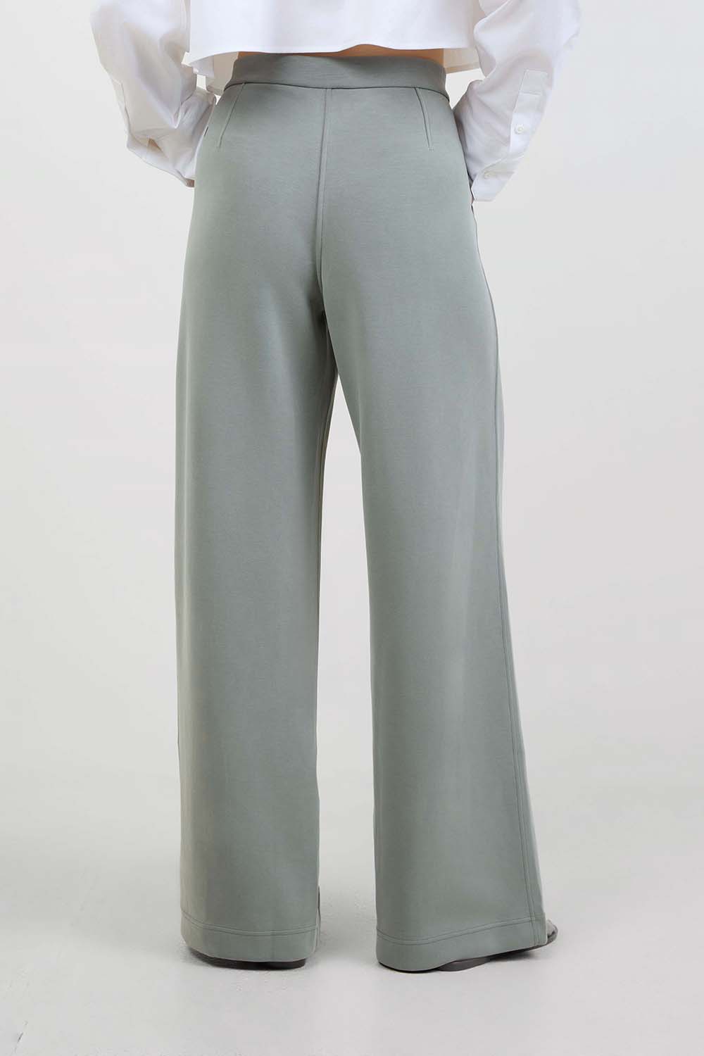 תמונת דוגמן אחורית של Brushed Softstreme Pintuck High-Rise Wide-Leg Pant Regular