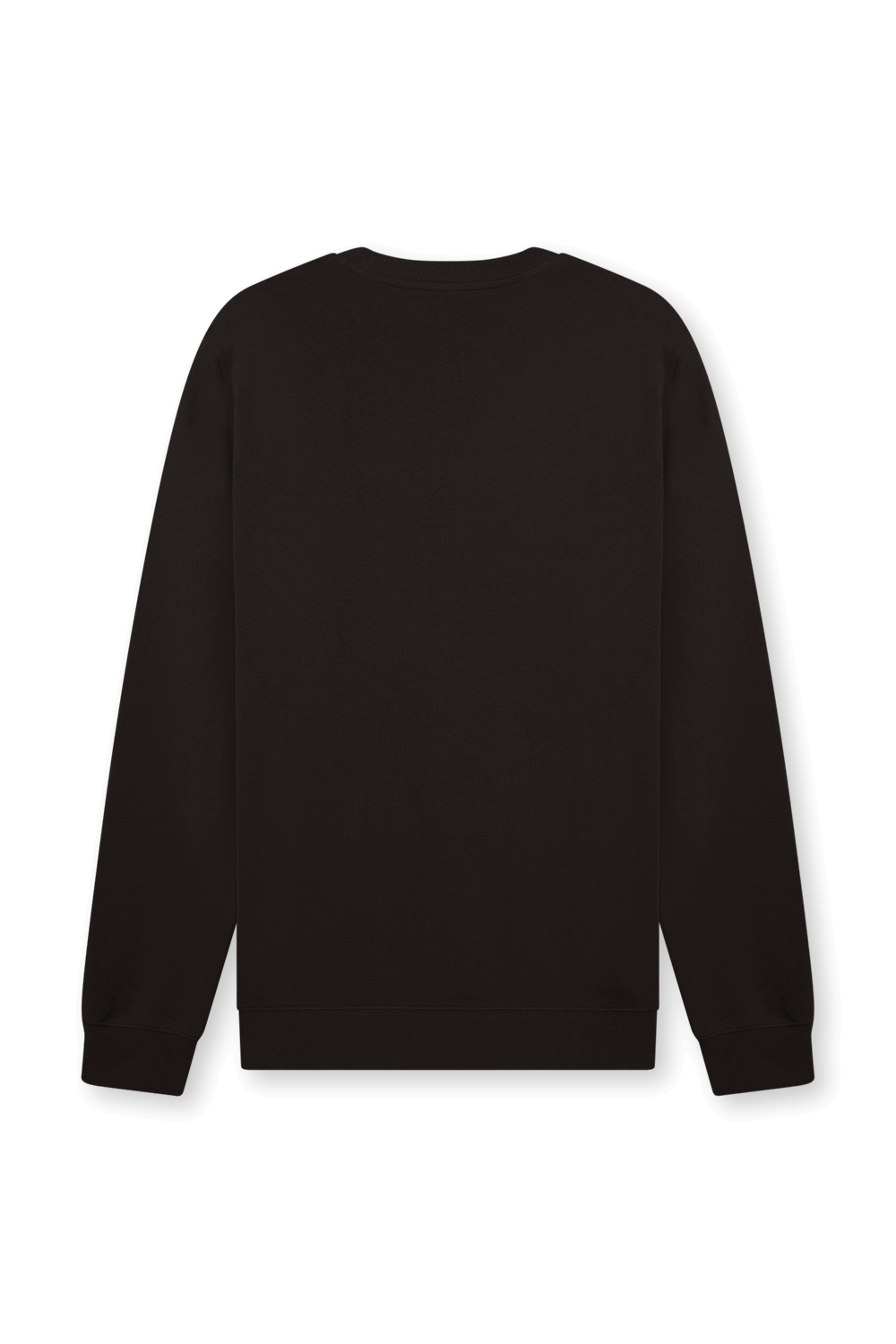 תמונה אחורית של סווטשירט