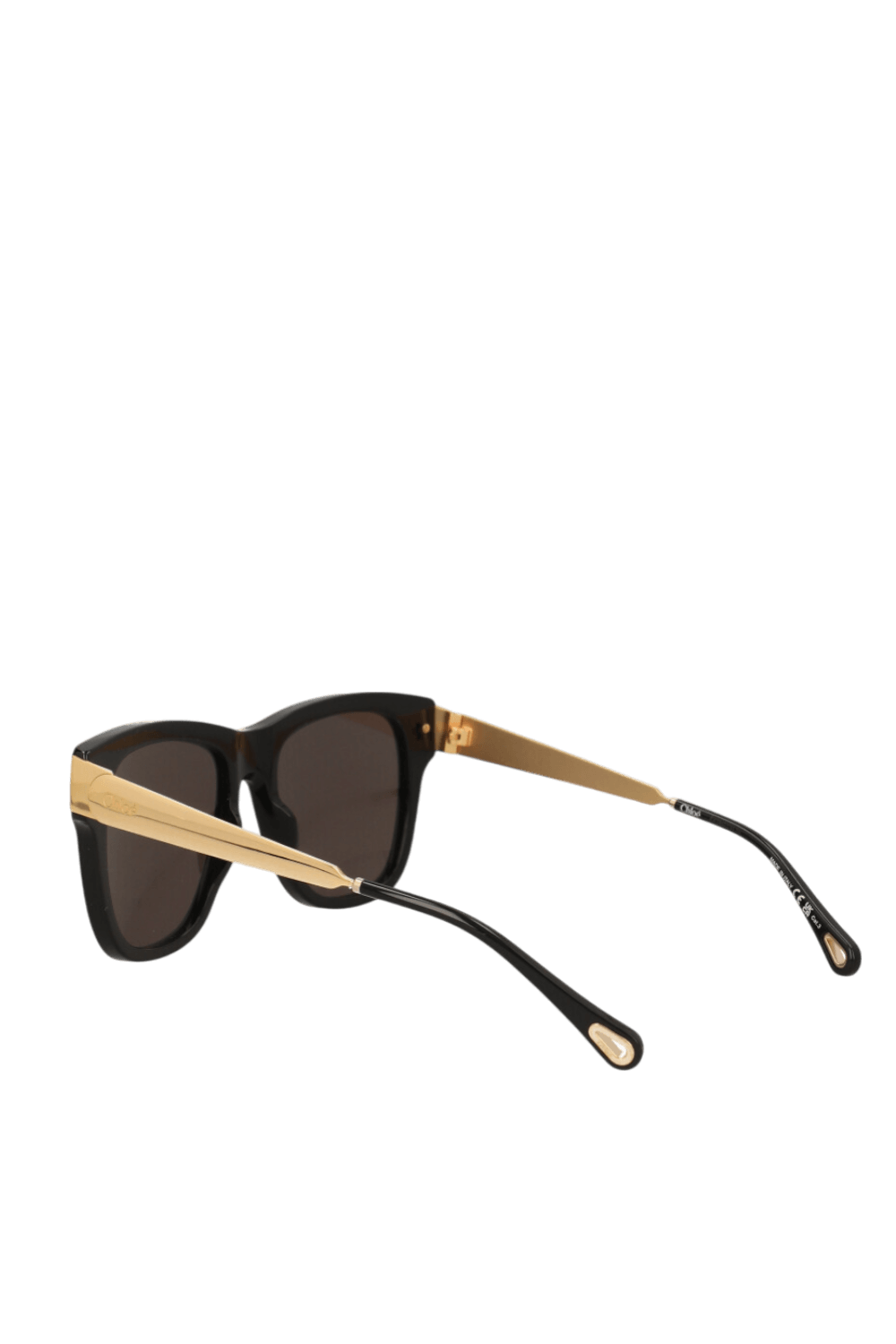 תמונה אחורית של משקפי שמש