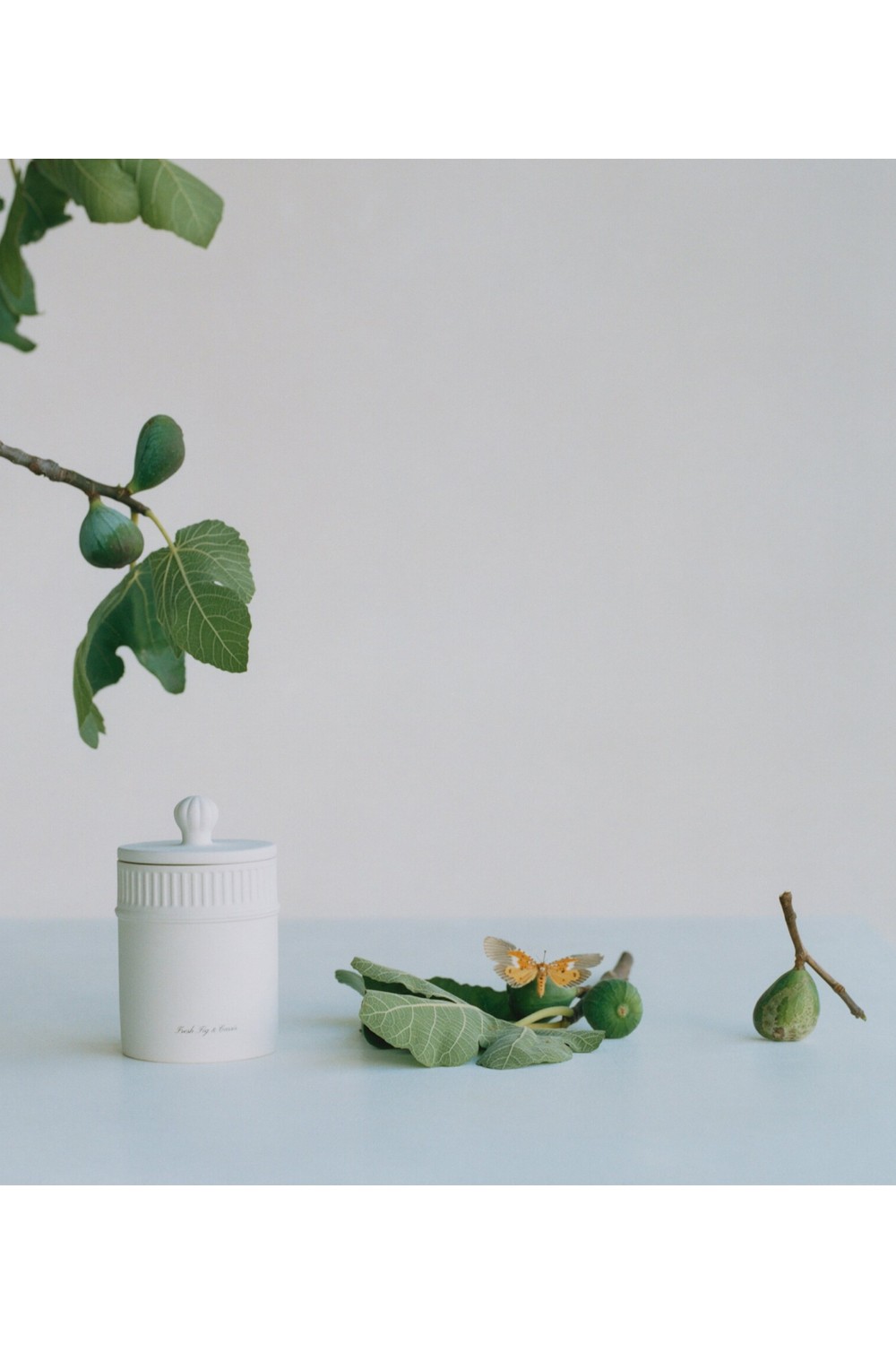 תמונת תקריב של Fresh Fig & Cassis Candle 300 Gr