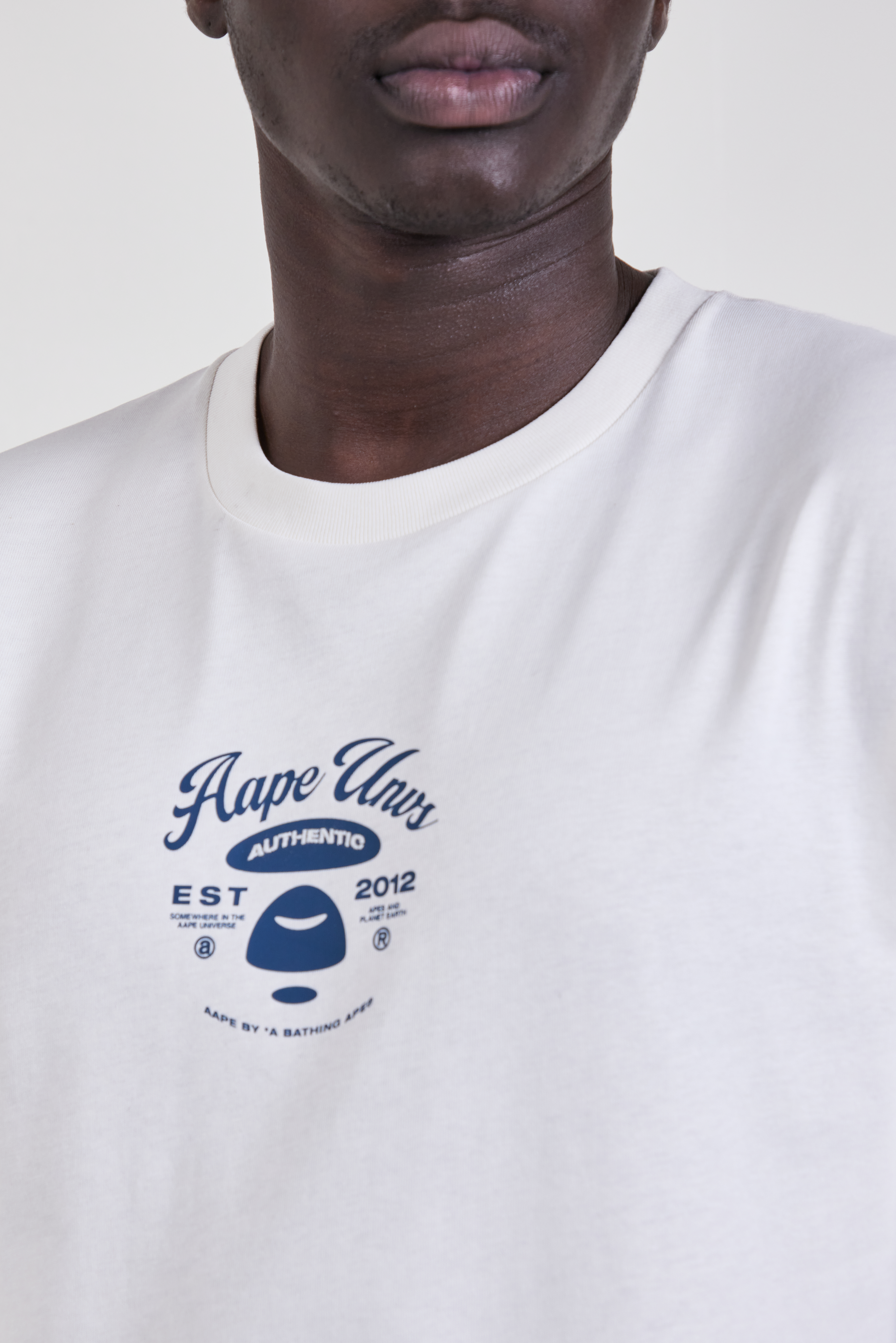 תמונת תקריב דוגמן של חולצת טי בגזרה ישרה