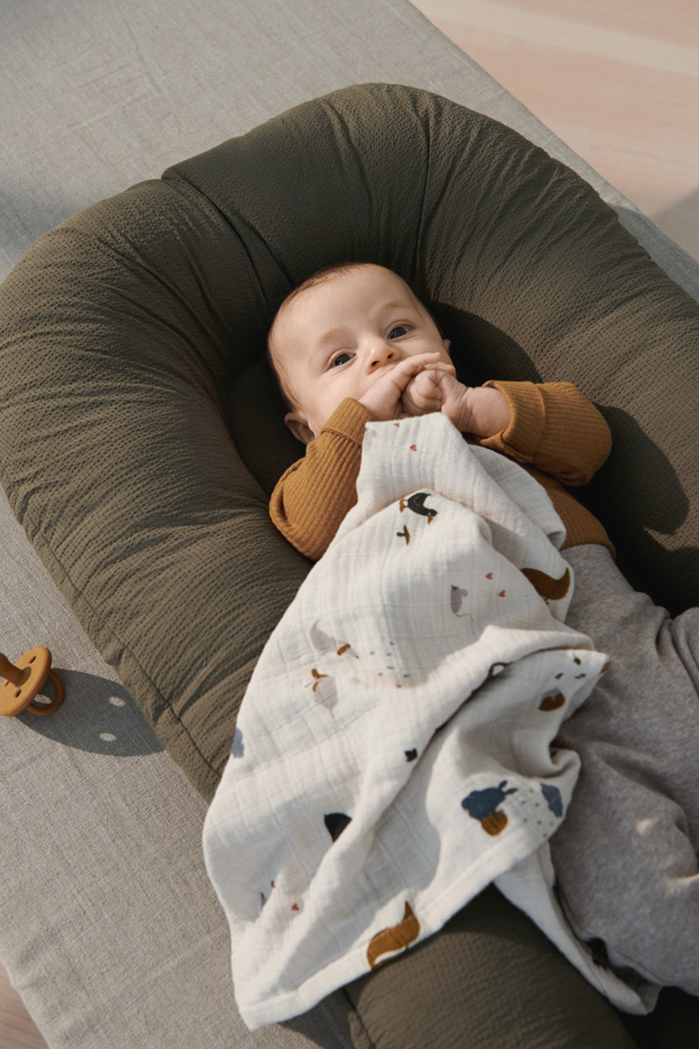 תמונת אווירה של נסט לתינוקות אדוורד