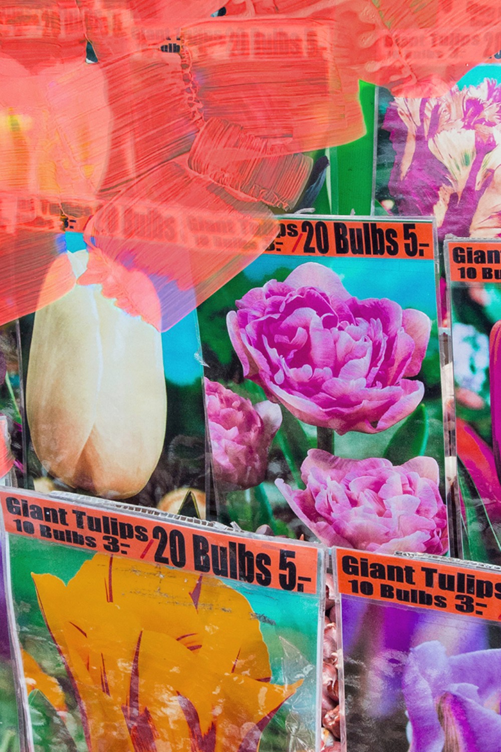 תמונת פנים של La Tulipe Eau de Parfum 50 ML