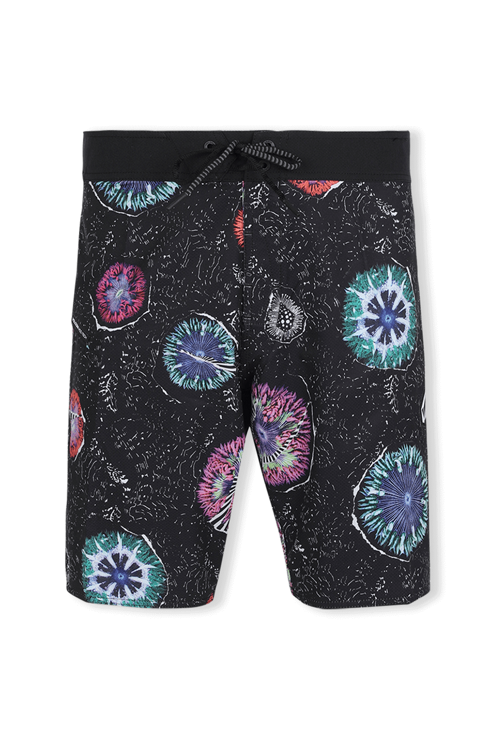 תמונה קידמית של Coral Morph Swimshorts in Black