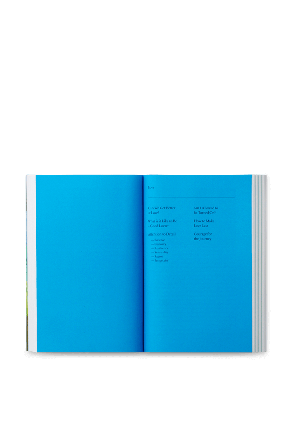 תמונת תקריב של Art as Therapy