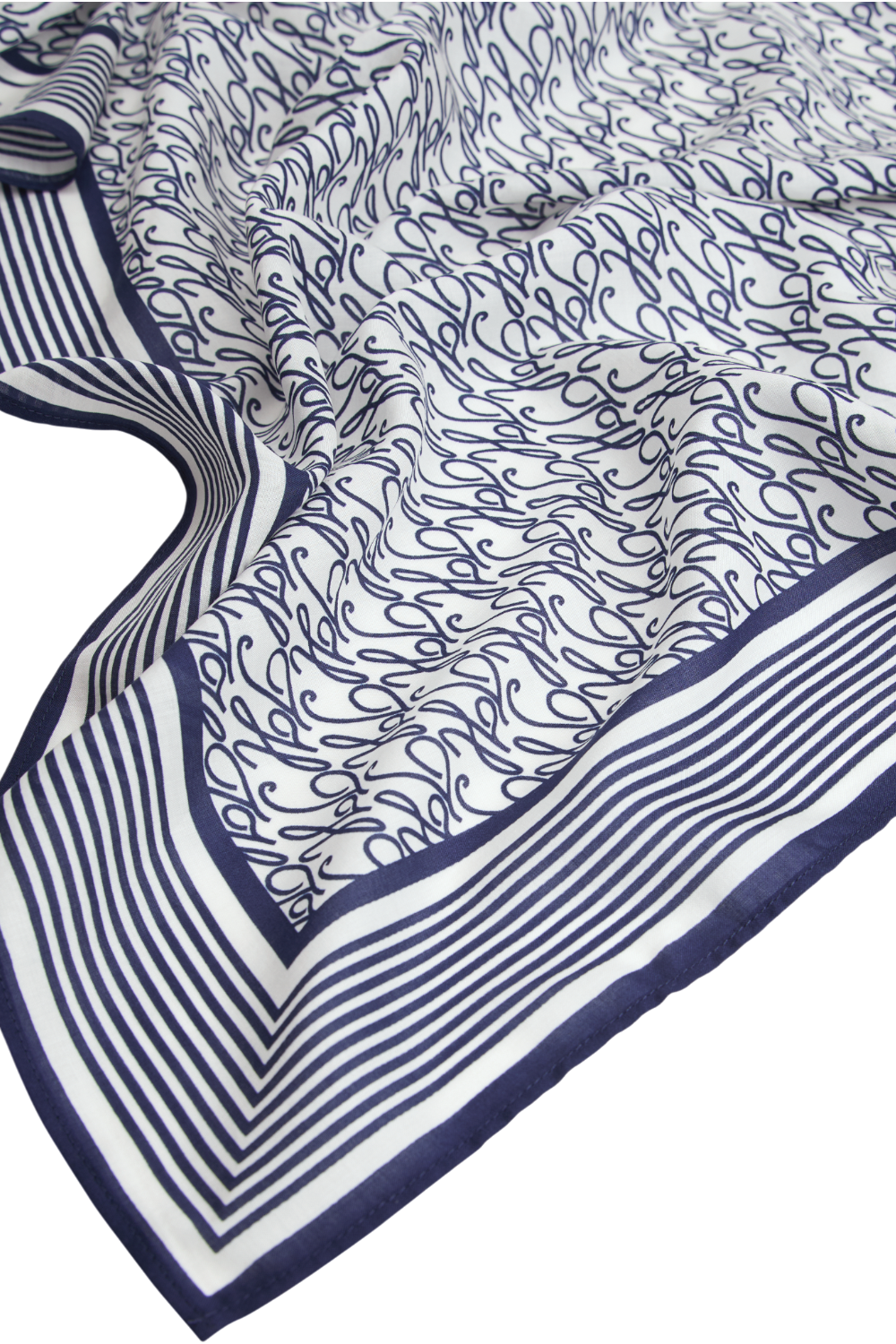 תמונה אחורית של פראו