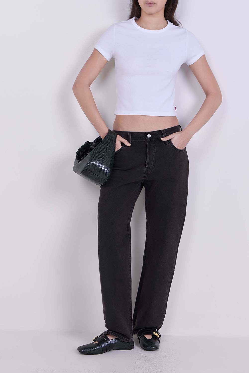 תמונת דוגמן קידמית של תיק יד הובו מיני