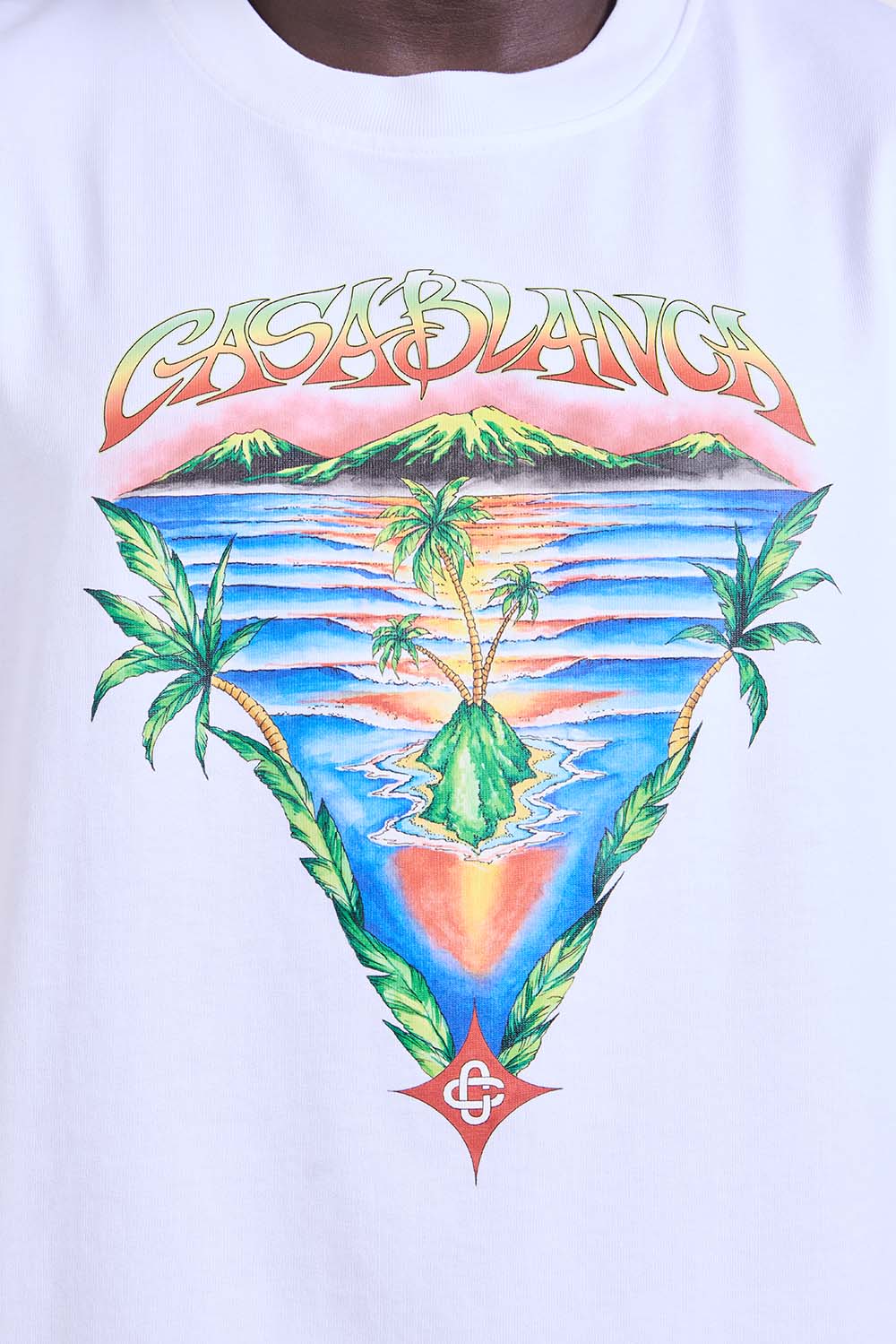 תמונת תקריב דוגמן של חולצת טי